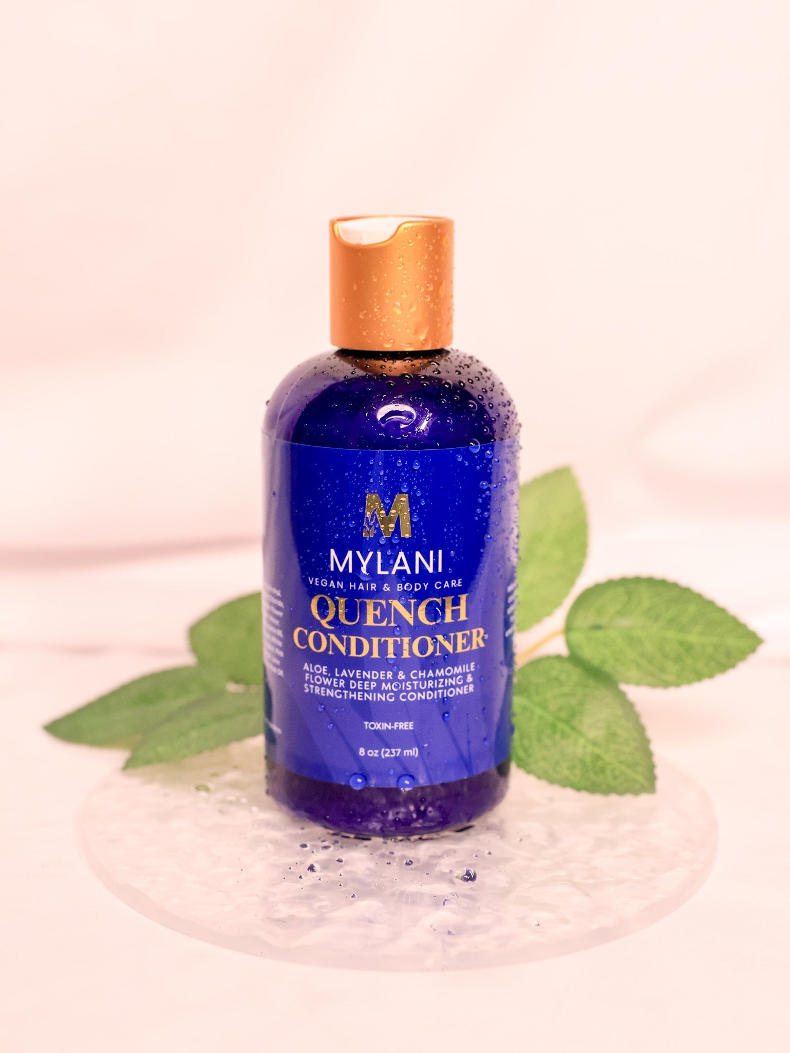 Quench Conditioner – Moisture Without the Weight