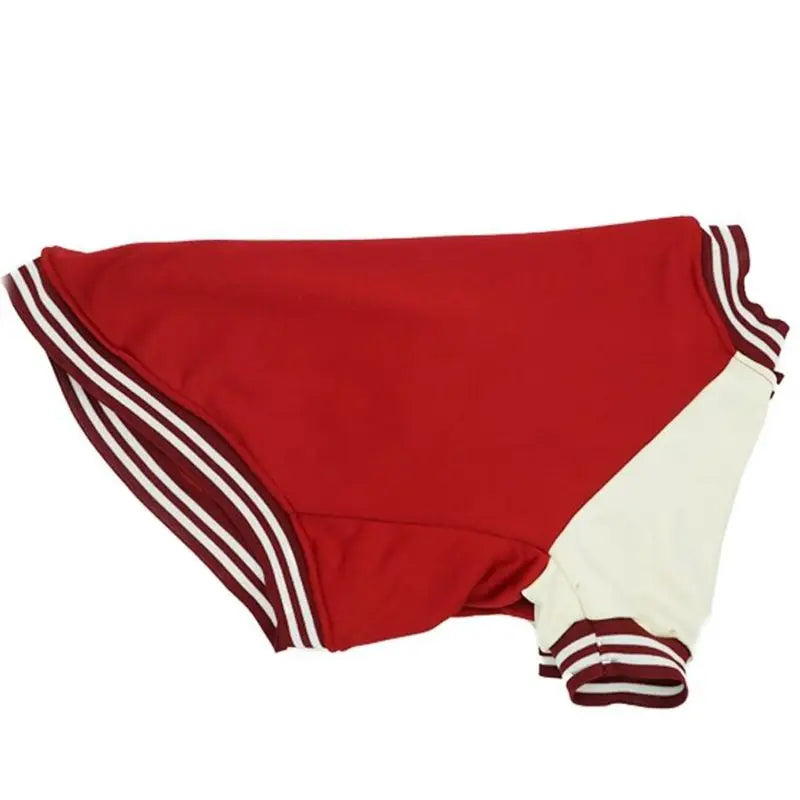 Big Dog Baseball Suit