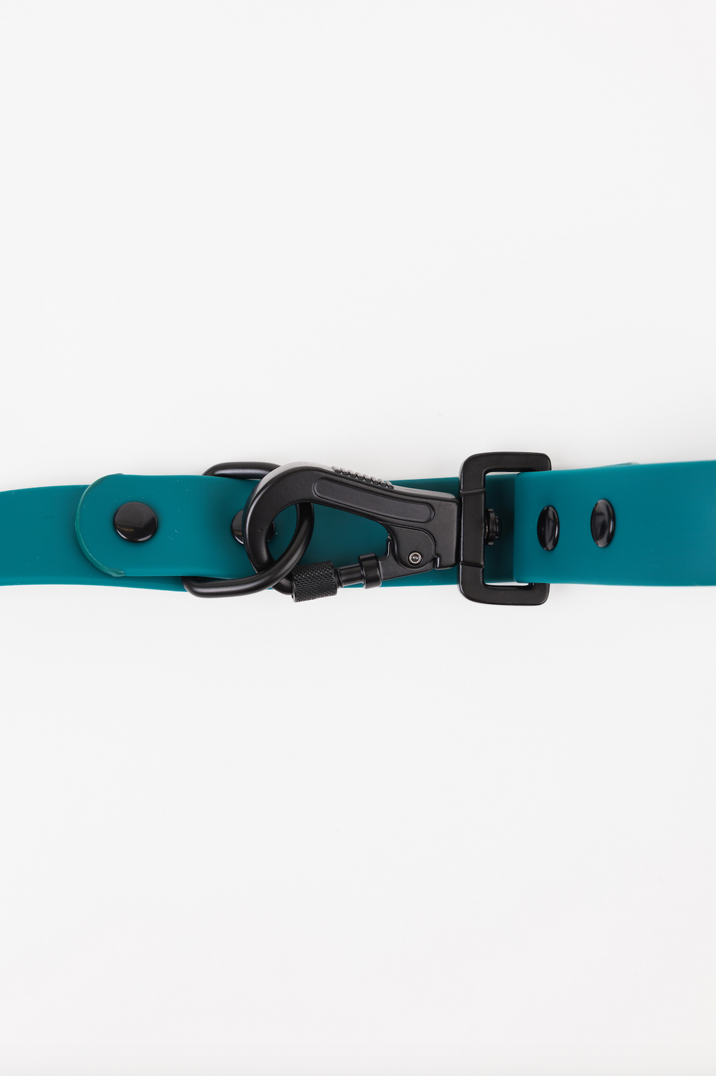 The Modern Dog Company - Forest Green Adjustable Leash