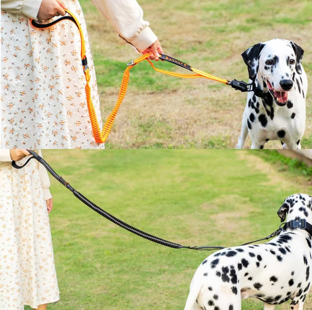 Heavy duty tactical bungee leash shock absorbing reflective, no pull.