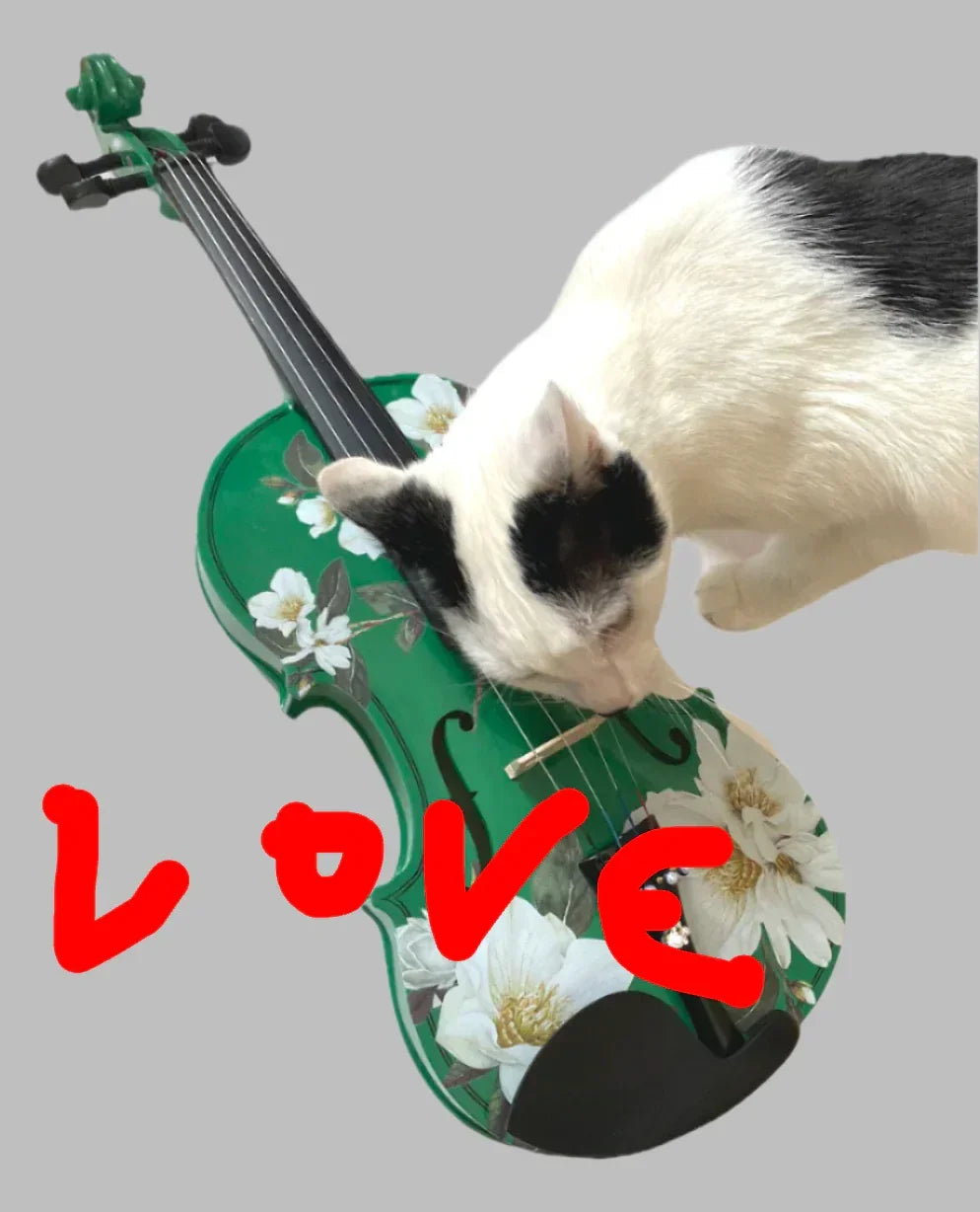 Magnolia Heaven Emerald Green Violin Outfit | Pearl Fine Tuners & Brazilwood Bow