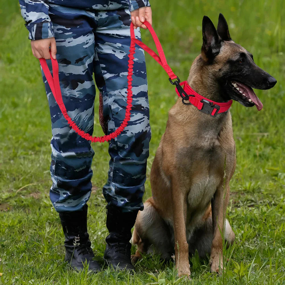 The Tactical Luxe Collar & Leash