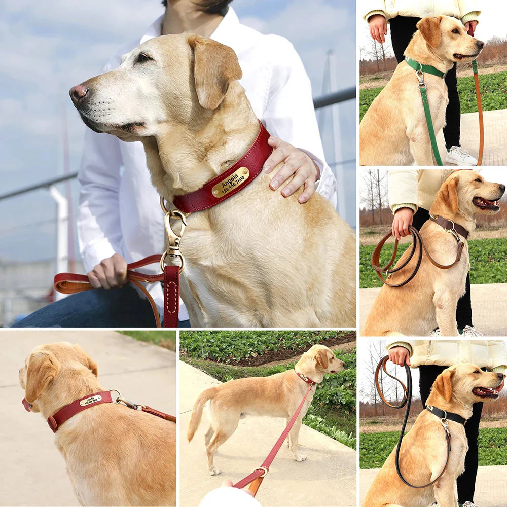 The Classic Leather Lead - Premium Dog Leash