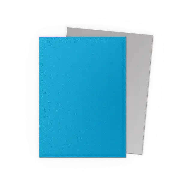Dragon Shield: Sky Blue & Silver - Matte Dual Sleeves (100)