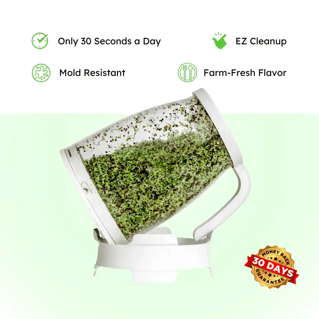 Sprout Spout Alfalfa Starter Kit: Sprout Spout + 4oz or 1lb seeds + Free Sprout Scoop