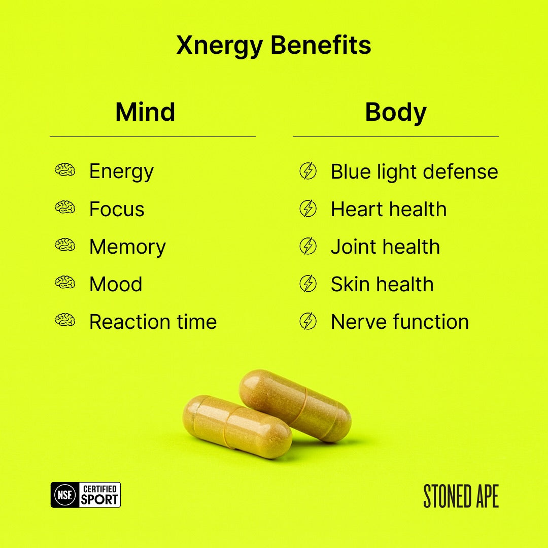 Calm Energy Bundle