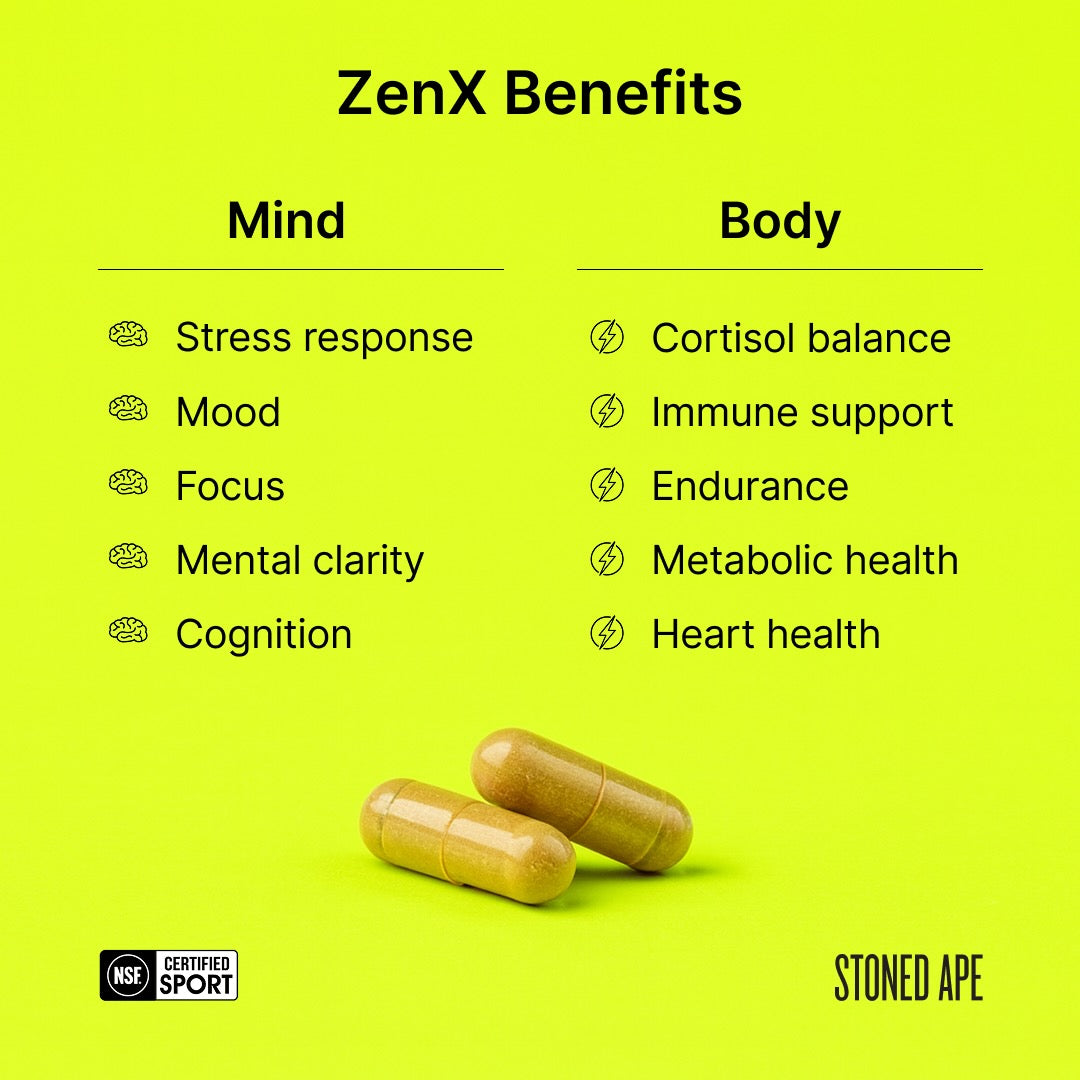 Calm Energy Bundle