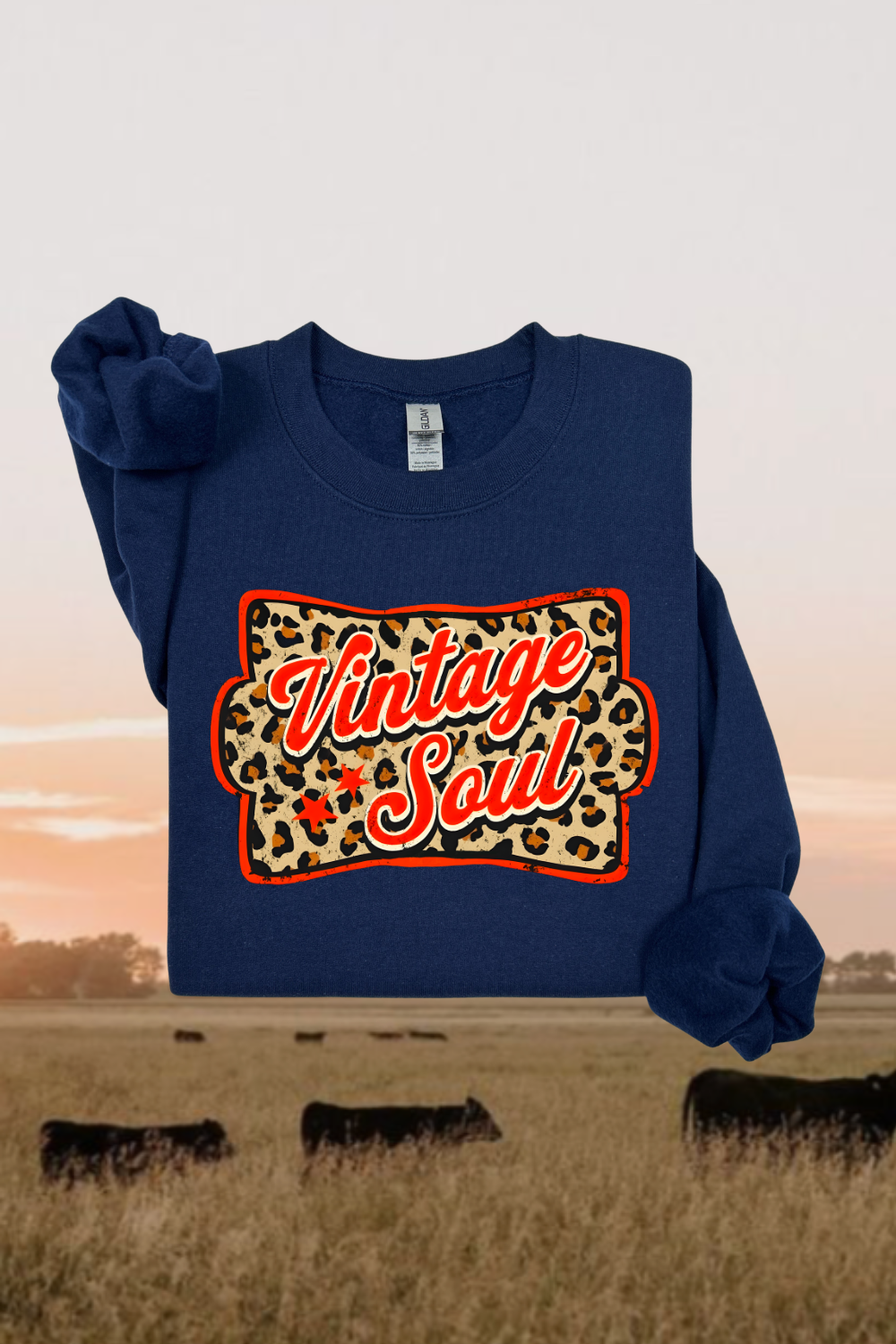 Vintage Soul Sweatshirt