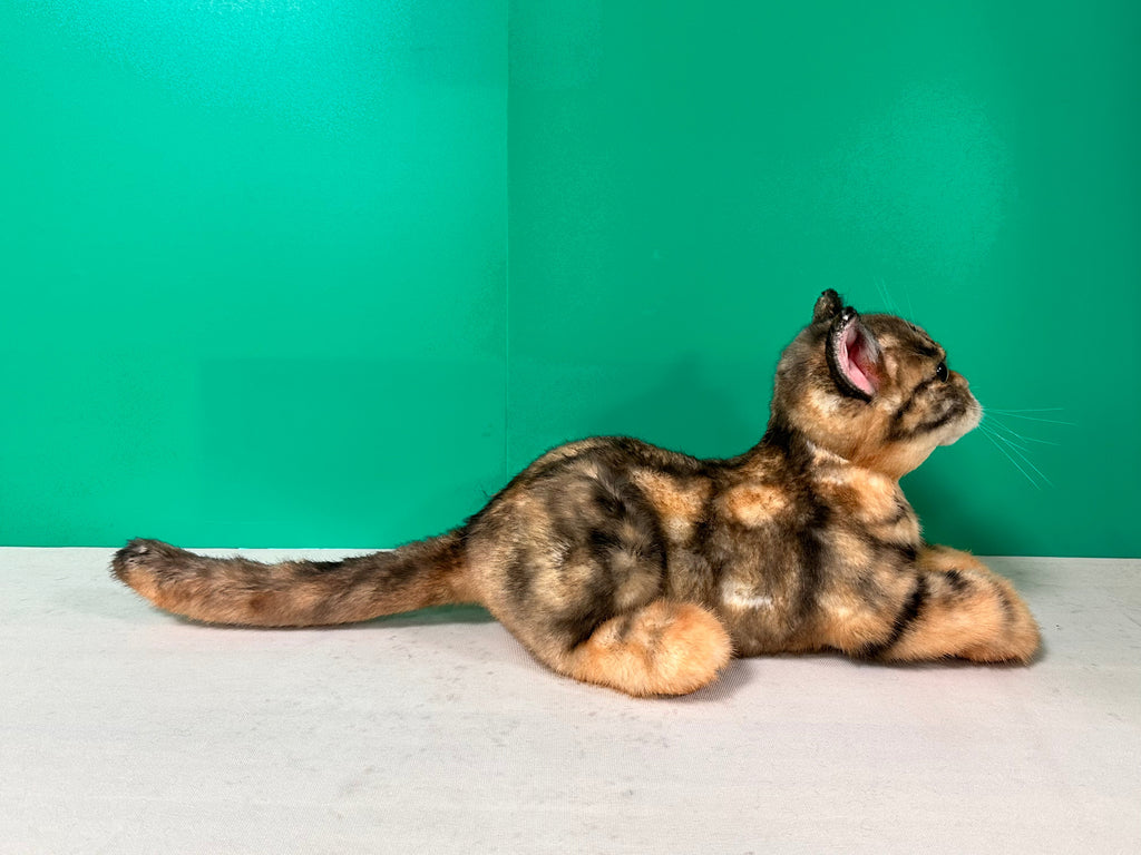 Plush leopard-print cat-Handmade Life-Size Companion & Pet Memorial