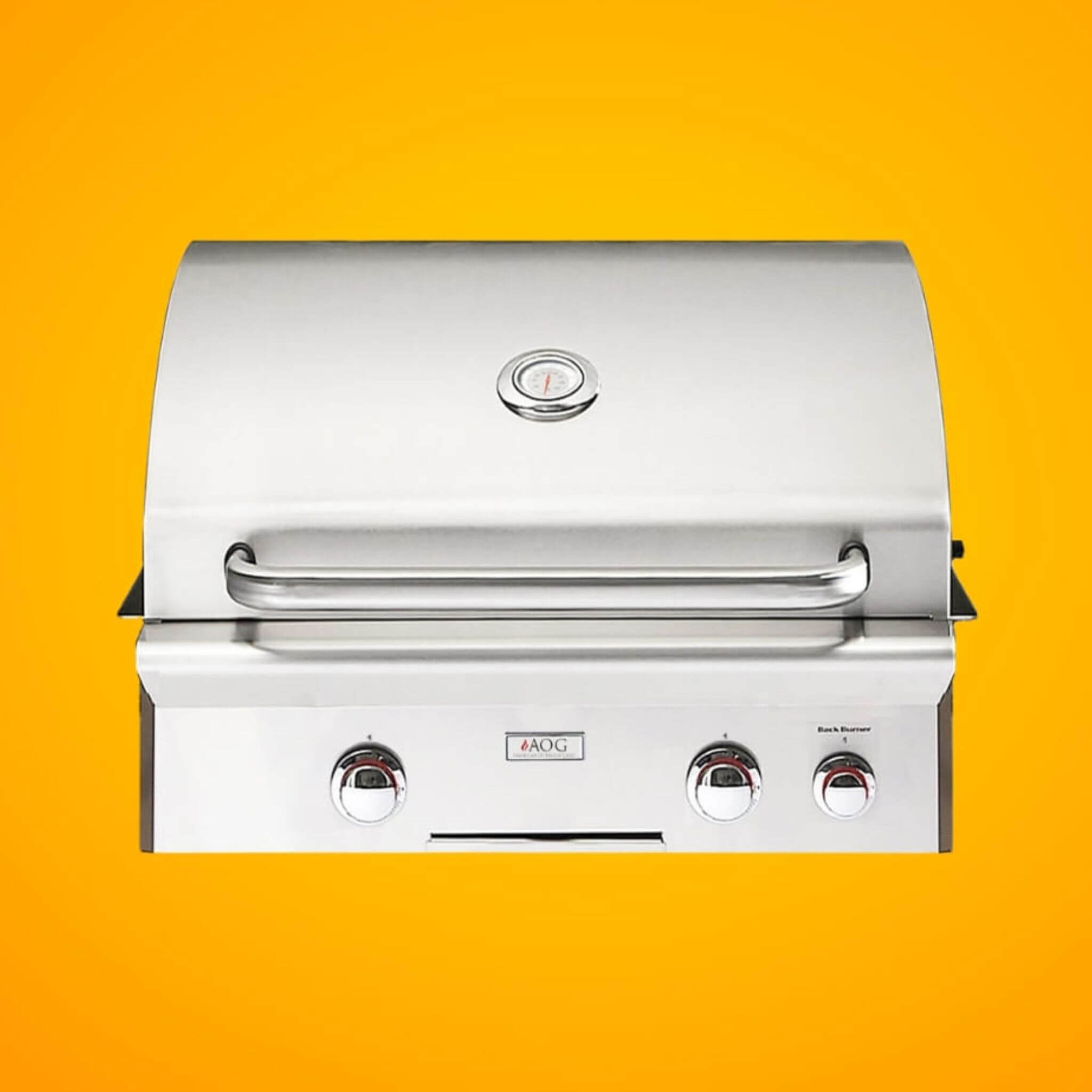 American Outdoor Grill 24NBT T-Series 2-Burner Built-In Natural Gas Grill W/ Rotisserie Kit, 24" [24NBT] (SAK65205)