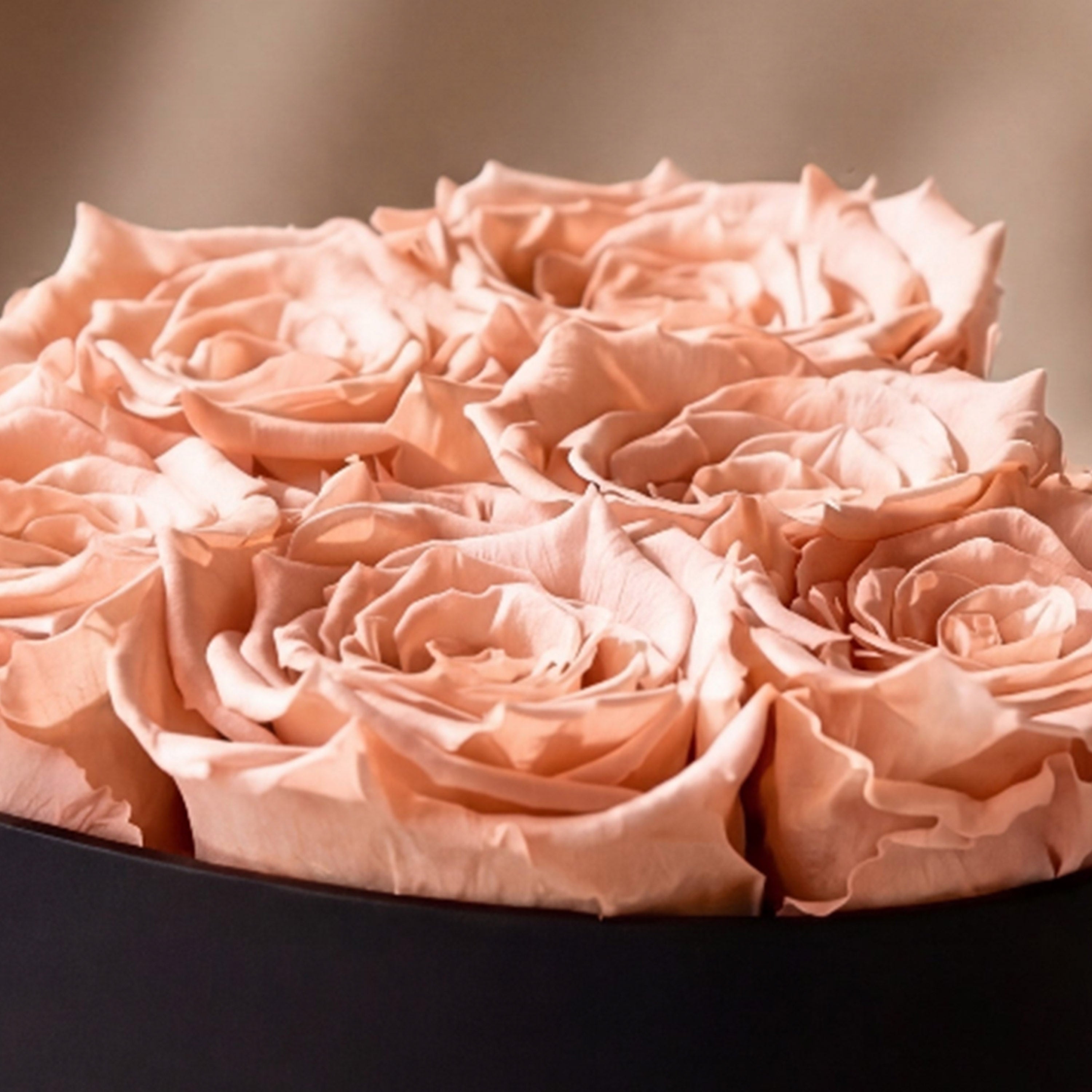 Baby Heart Black Box | Peach Roses