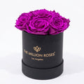 Basic Black Box | Bright Purple Roses