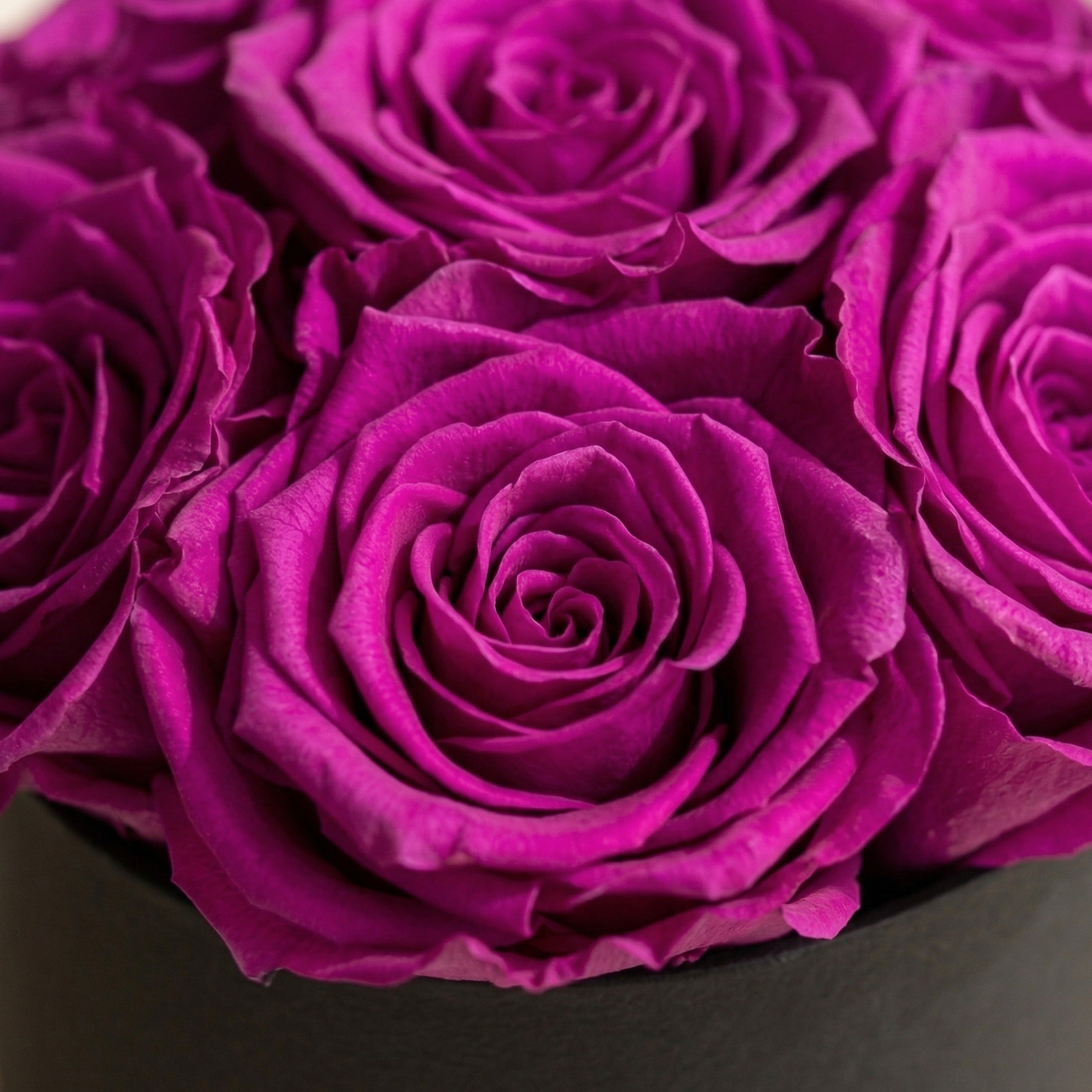 Basic Black Box | Bright Purple Roses