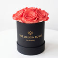 Basic Black Box | Coral Roses