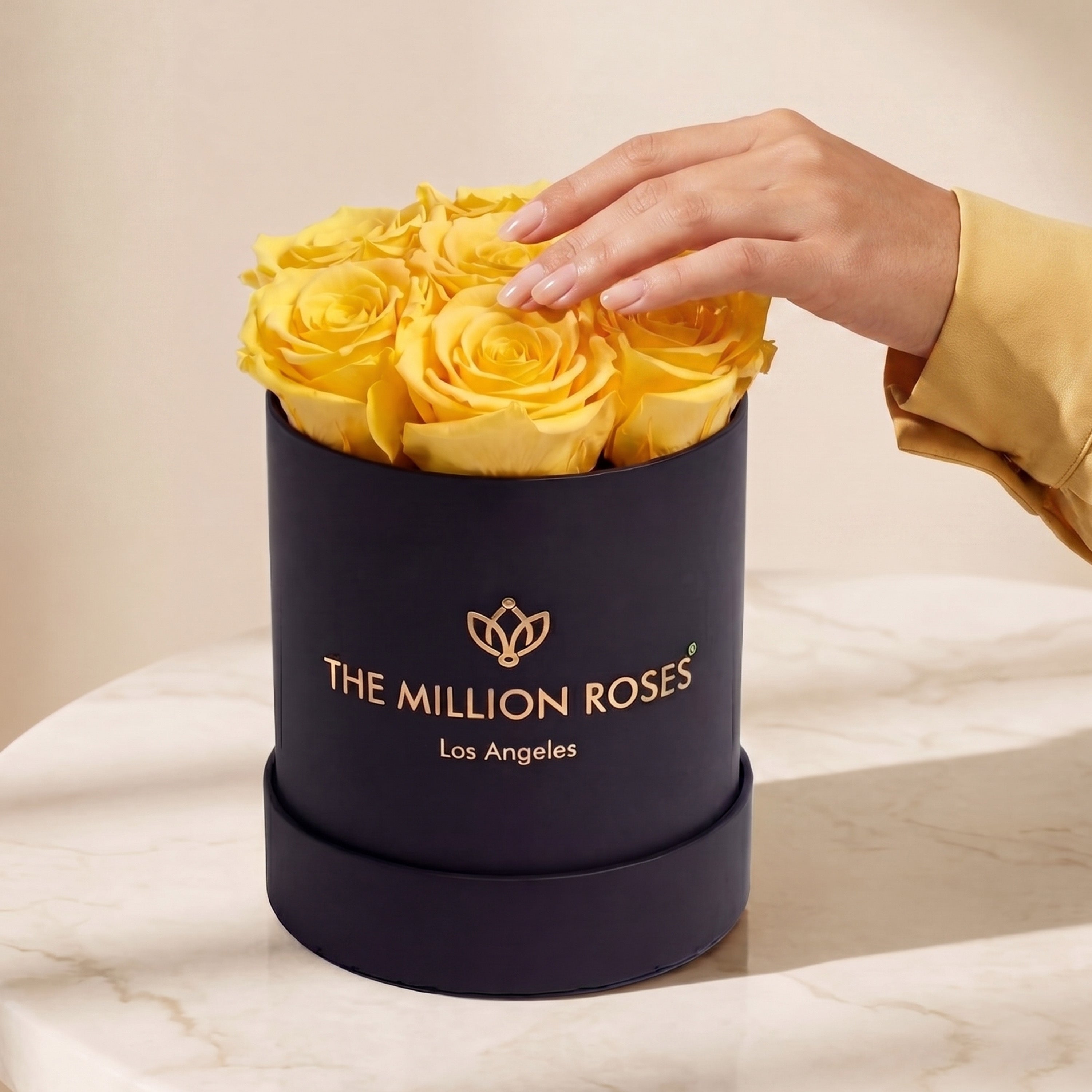Basic Black Box | Yellow Roses
