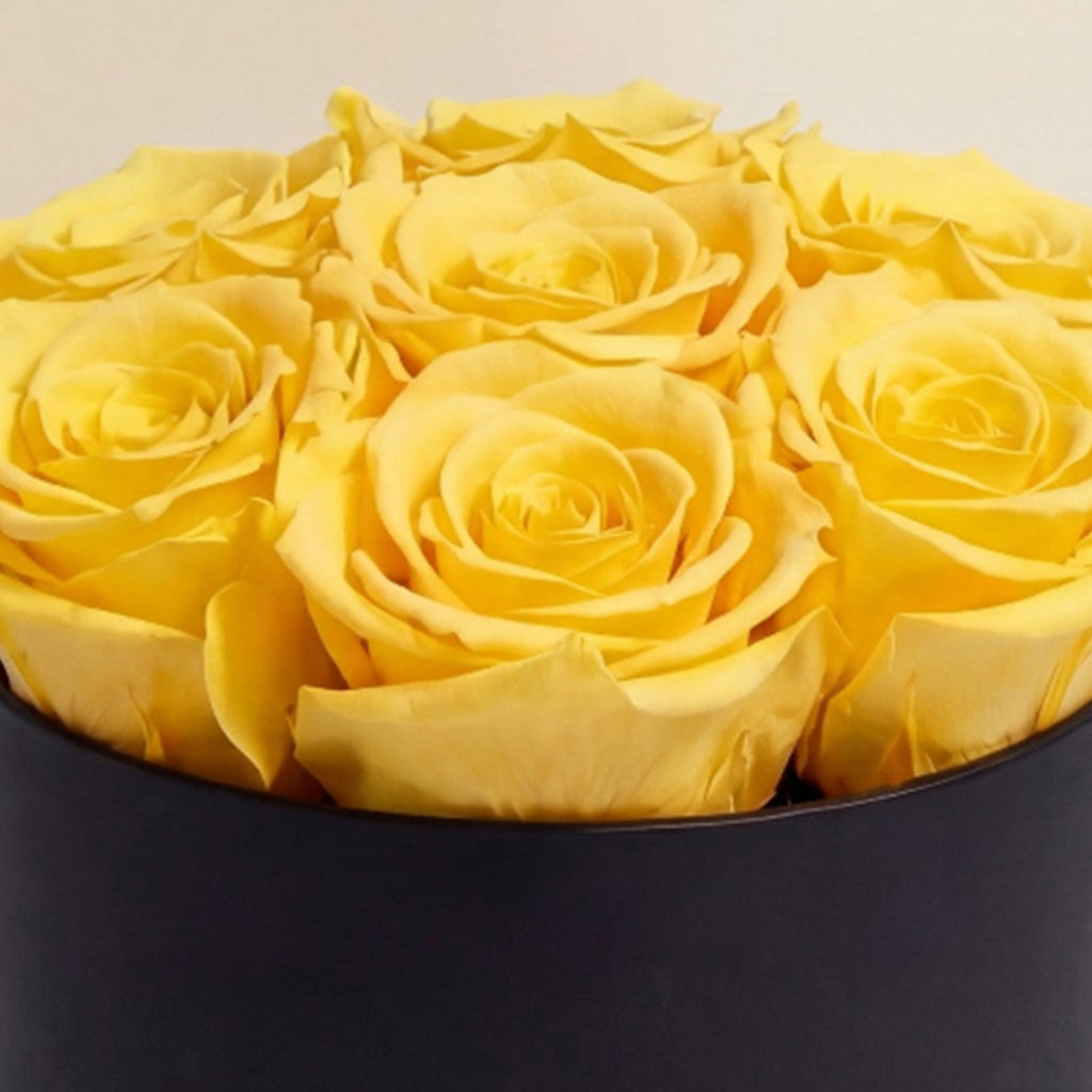 Basic Black Box | Yellow Roses