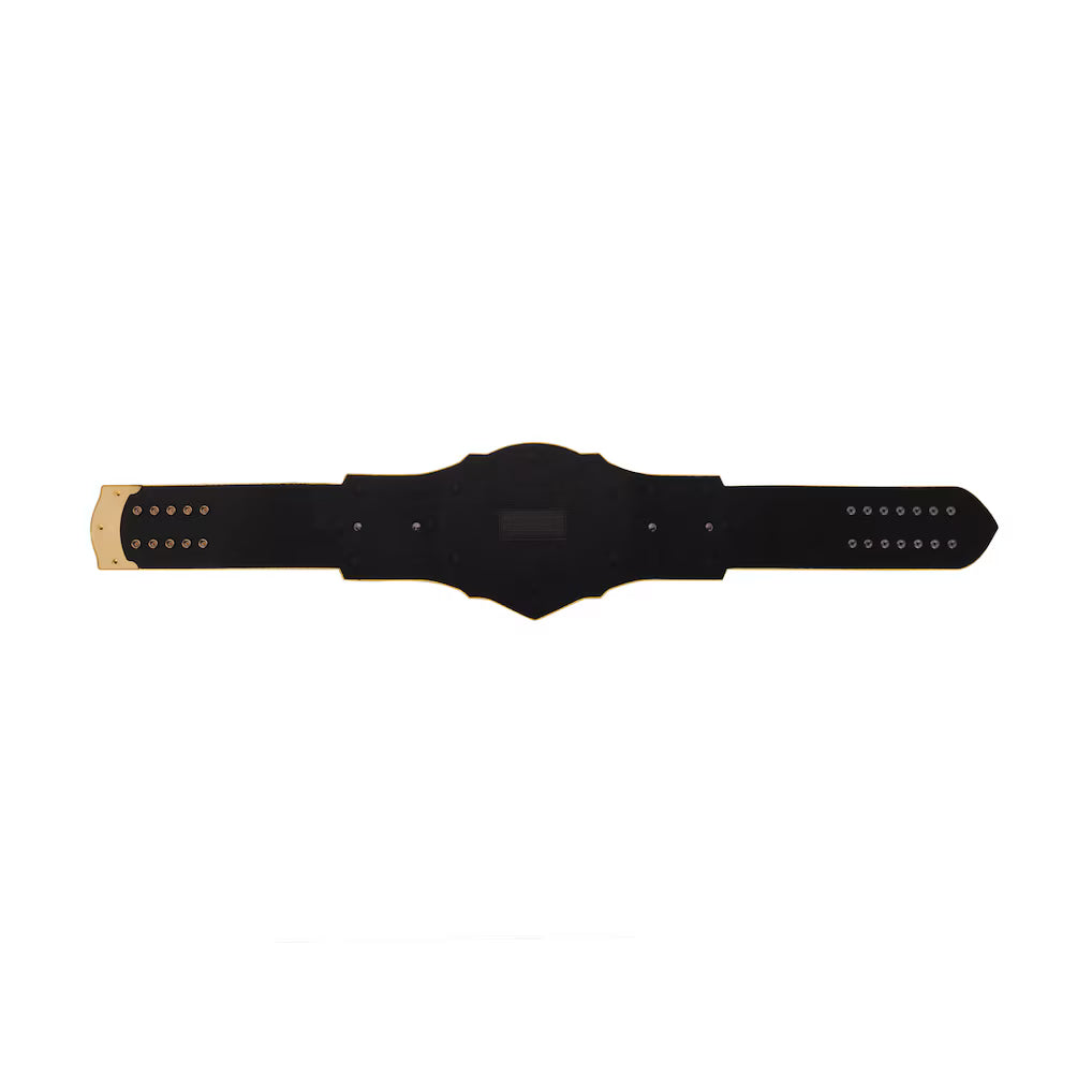 Baylor Bears WWE Legacy Title Belt