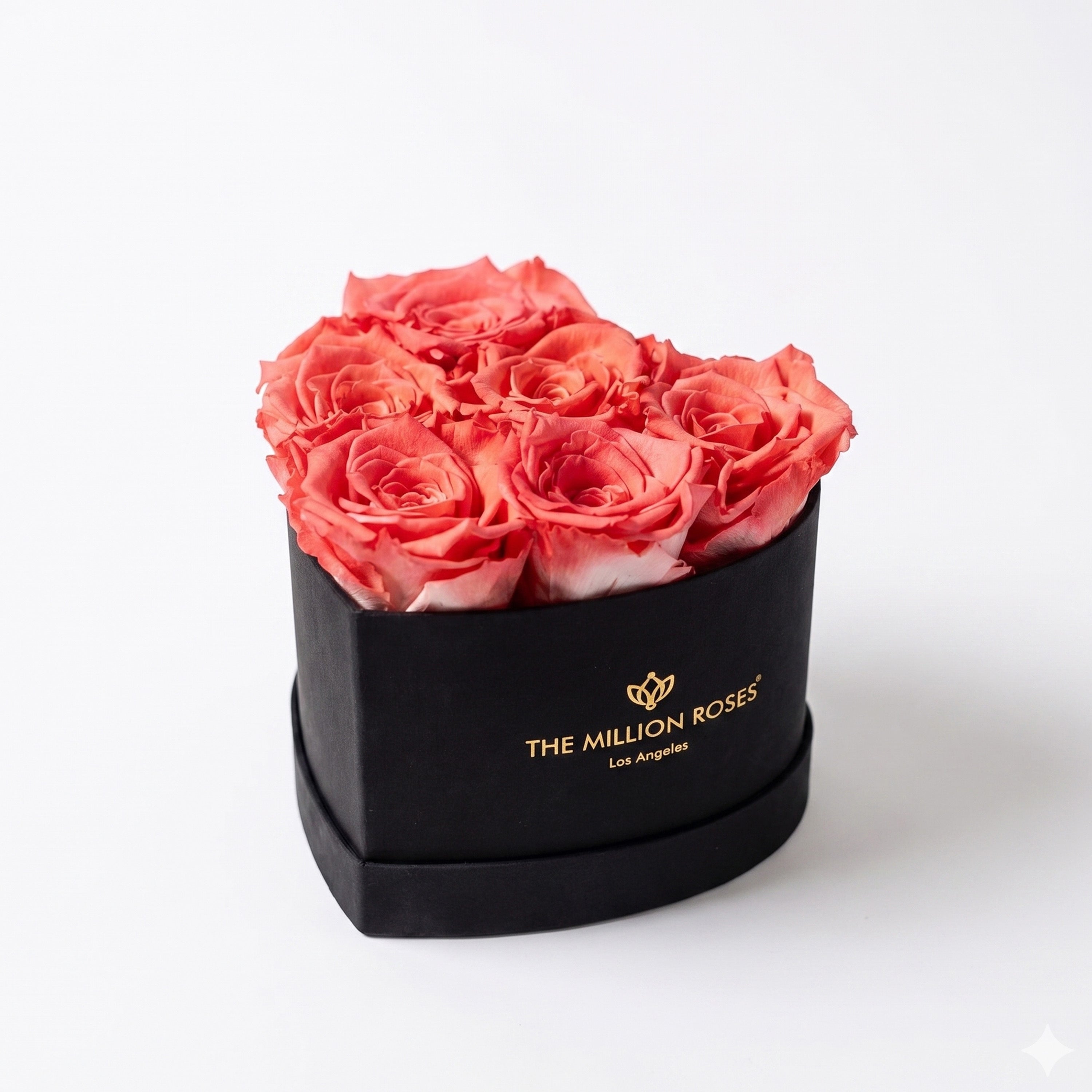 Baby Heart Black Box | Coral Roses
