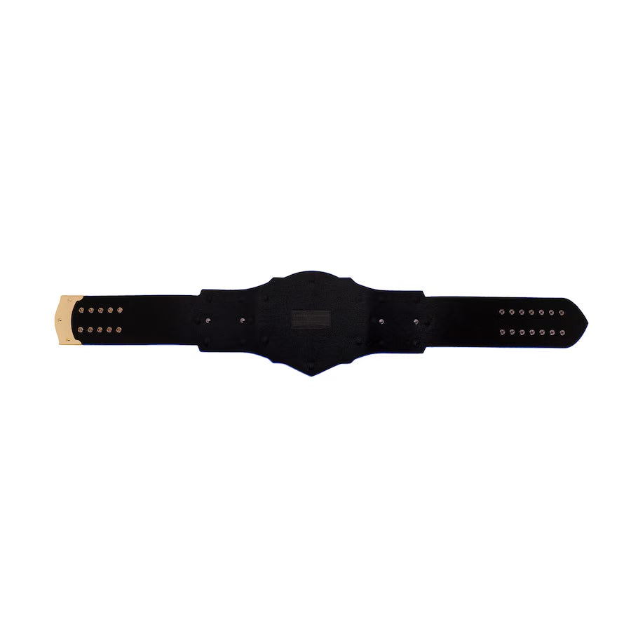 BYU Cougars WWE Legacy Title Belt