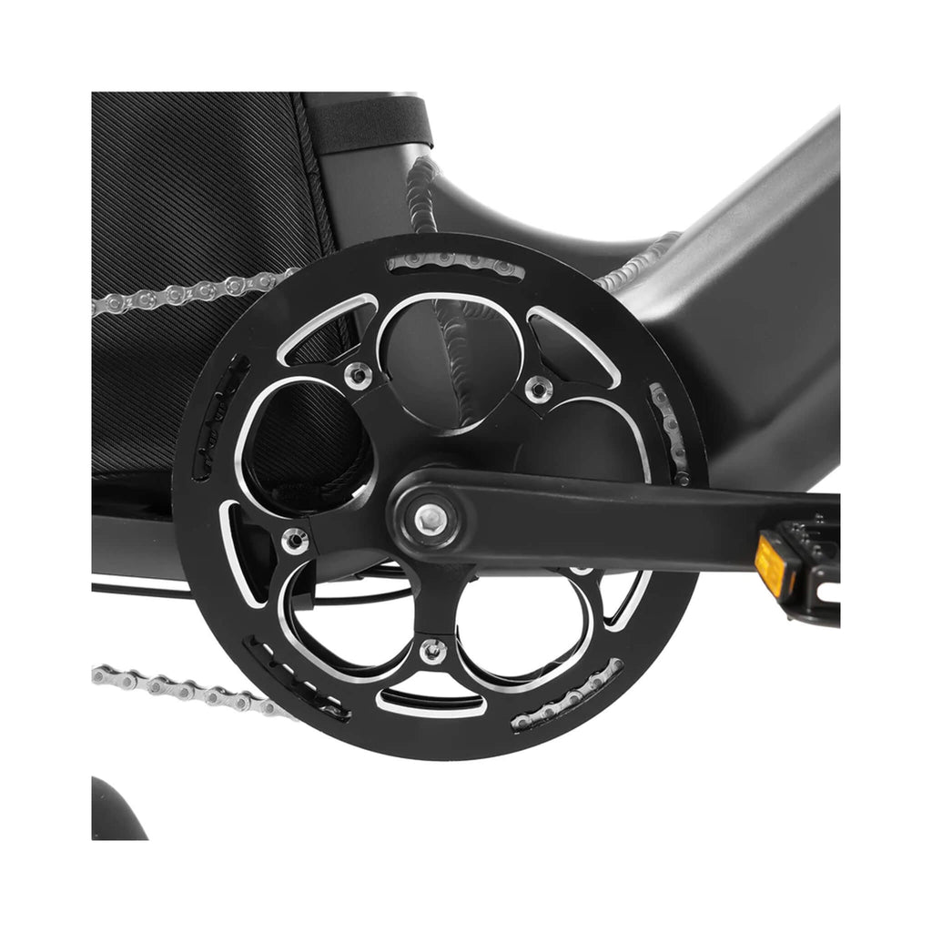 Coswheel HQ20 48V/20AH 1300W Electric All-Terrain Cargo Bike (SAK41597)