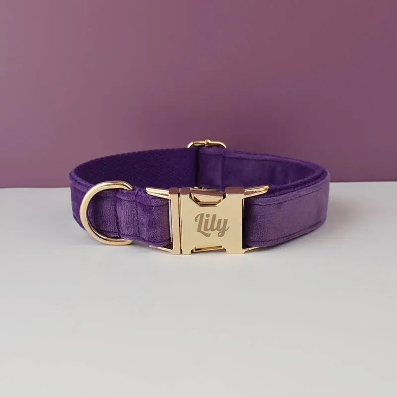 Velvet Purple Set