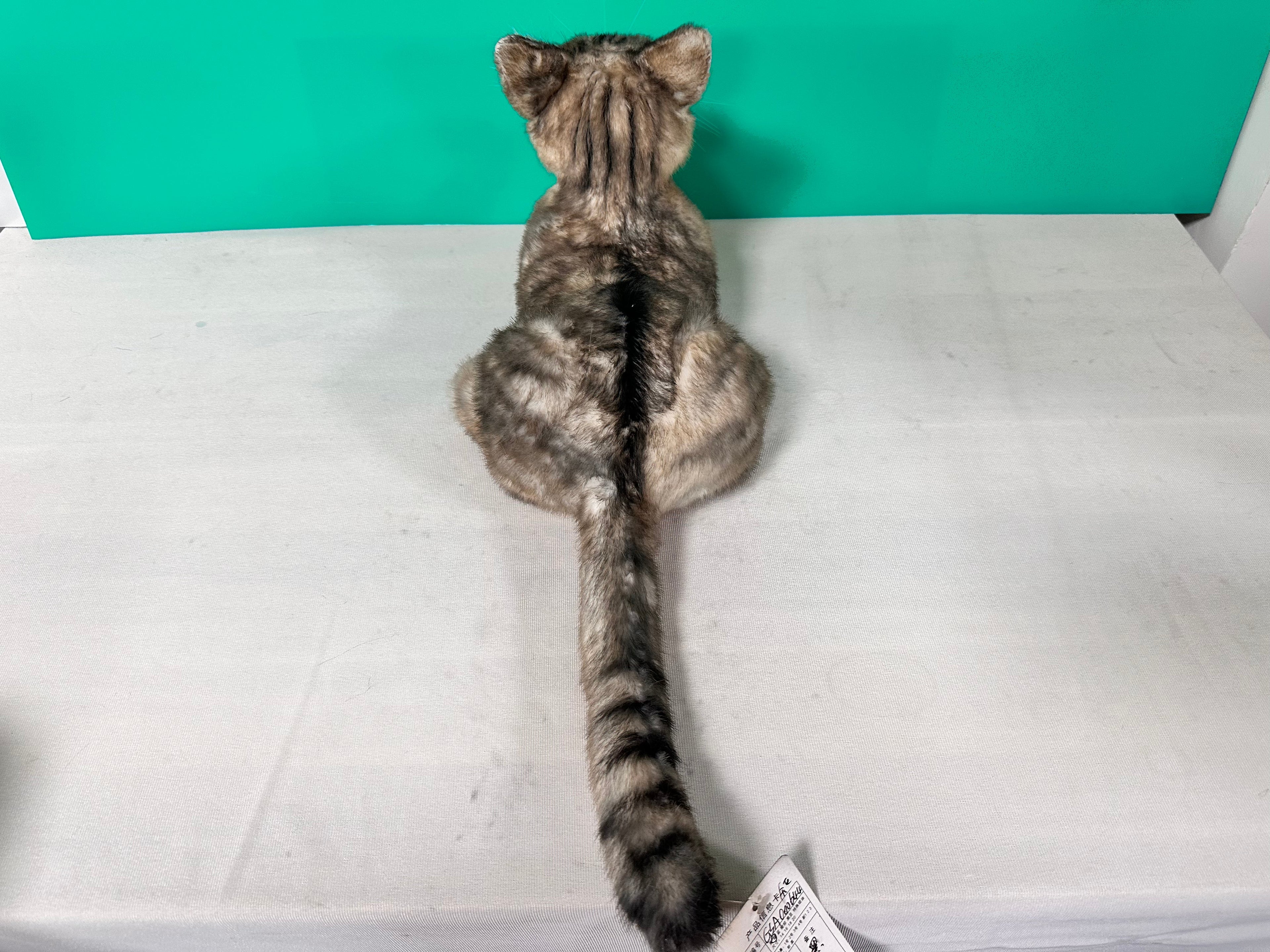 Plush American Shorthair Weighted-Handmade Life-Size Companion & Pet Memorial