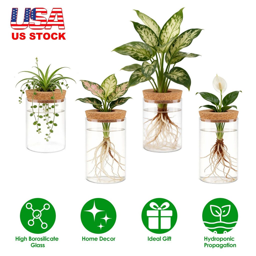 4Pack Glass Propagation Stations For Plants Indoor Glass Planters Hydroponic Plant Vases 2 Large 2 Small for Plant Cuttings Flower Arrangements