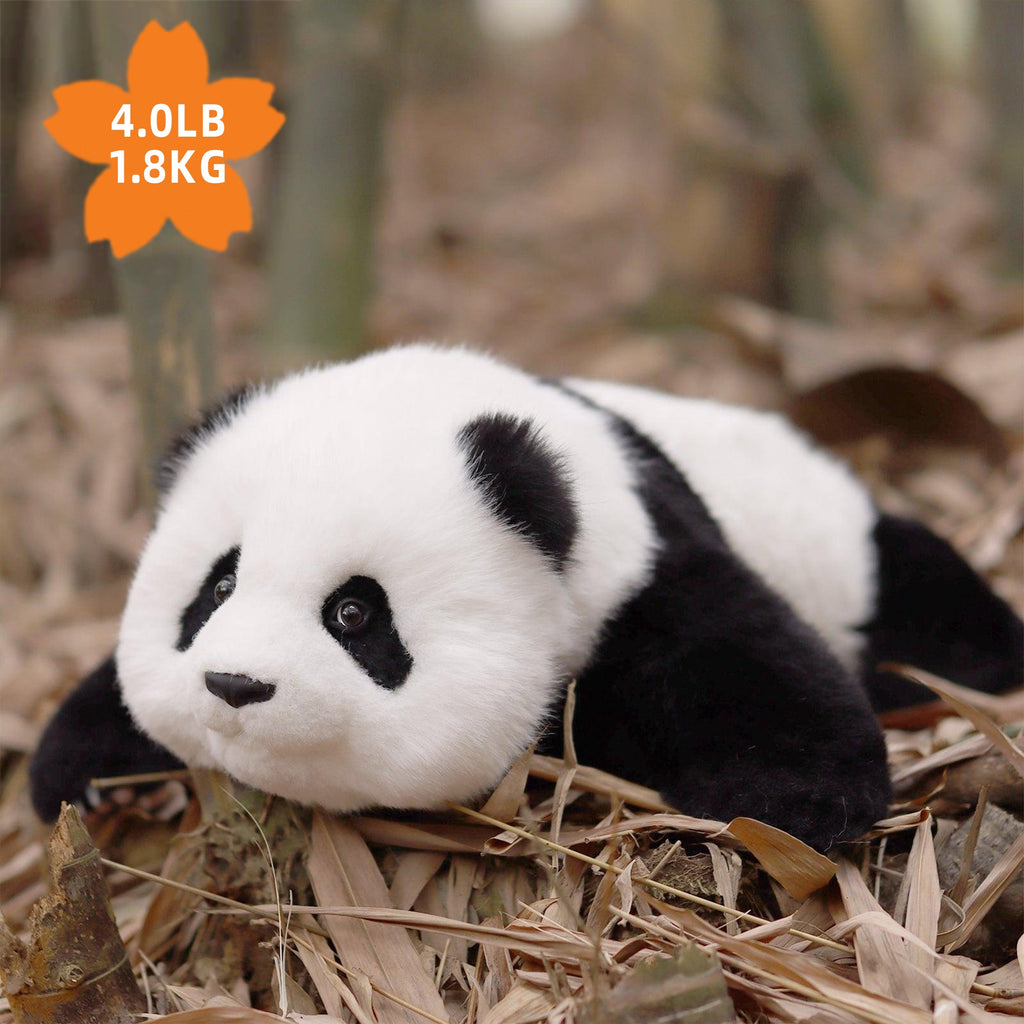 Menglan Panda Weighted – Ultra Realistic Collectible Toy