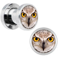 Full Color Owl Steel Screw Fit Plug Set 2G