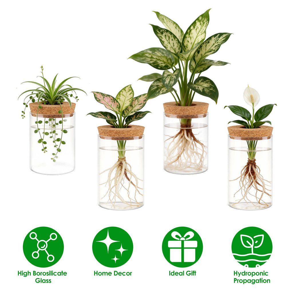 4Pack Glass Propagation Stations For Plants Indoor Glass Planters Hydroponic Plant Vases 2 Large 2 Small for Plant Cuttings Flower Arrangements