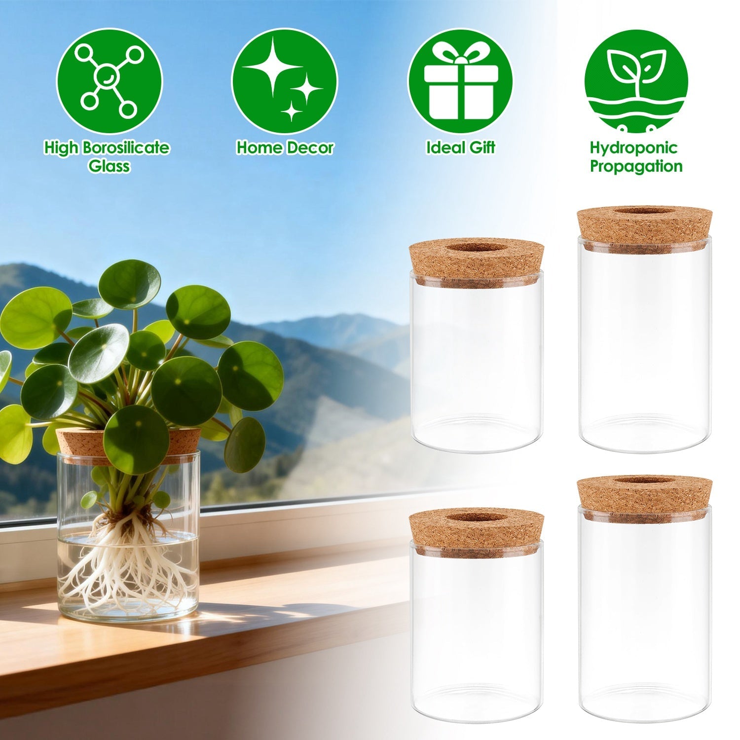 4Pack Glass Propagation Stations For Plants Indoor Glass Planters Hydroponic Plant Vases 2 Large 2 Small for Plant Cuttings Flower Arrangements
