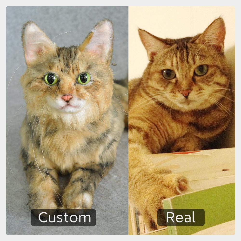 Custom Pet Plush from Photo – Memorial Keepsake for Dogs & Cats