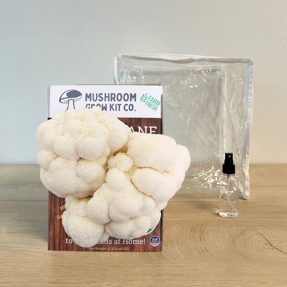 3 Pack - Lion's Mane, Pink, and Blue Oyster Mushroom Growing Kit - 15 LBS