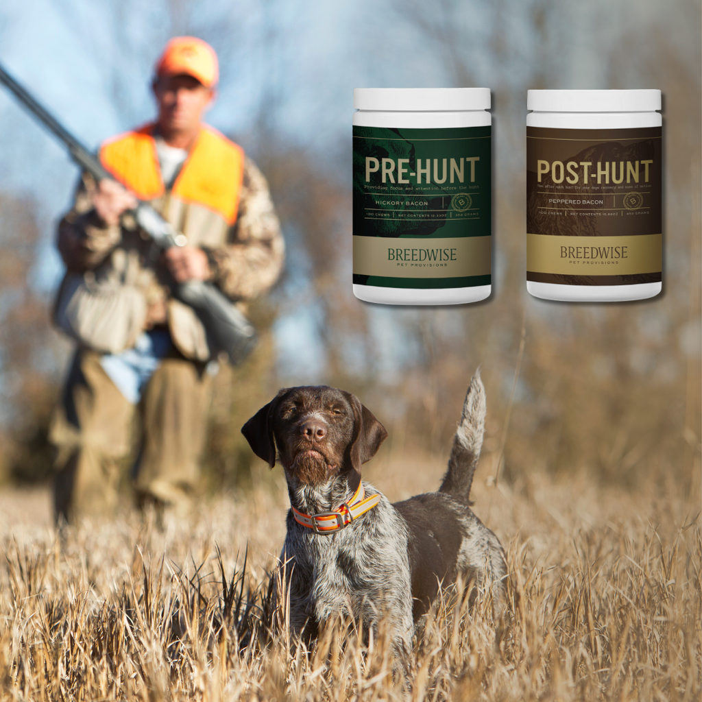 Breedwise Pre & Post-HUNT Soft Dog Chews -  Bundle