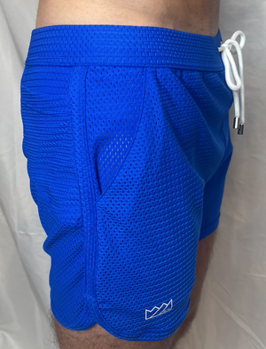 CT SWIM TO GYM MESH SHORT - ROYAL BLUE