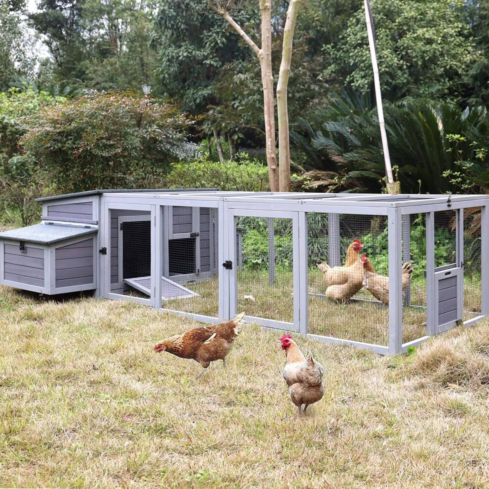 Large 103-Inch Outdoor Chicken Coop House With Run And Nesting Box [4-6 Chickens] (SAK53194)