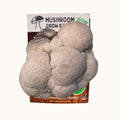 Lion's Mane Mushroom Growing Kit - 5 LBS Spray and Grow