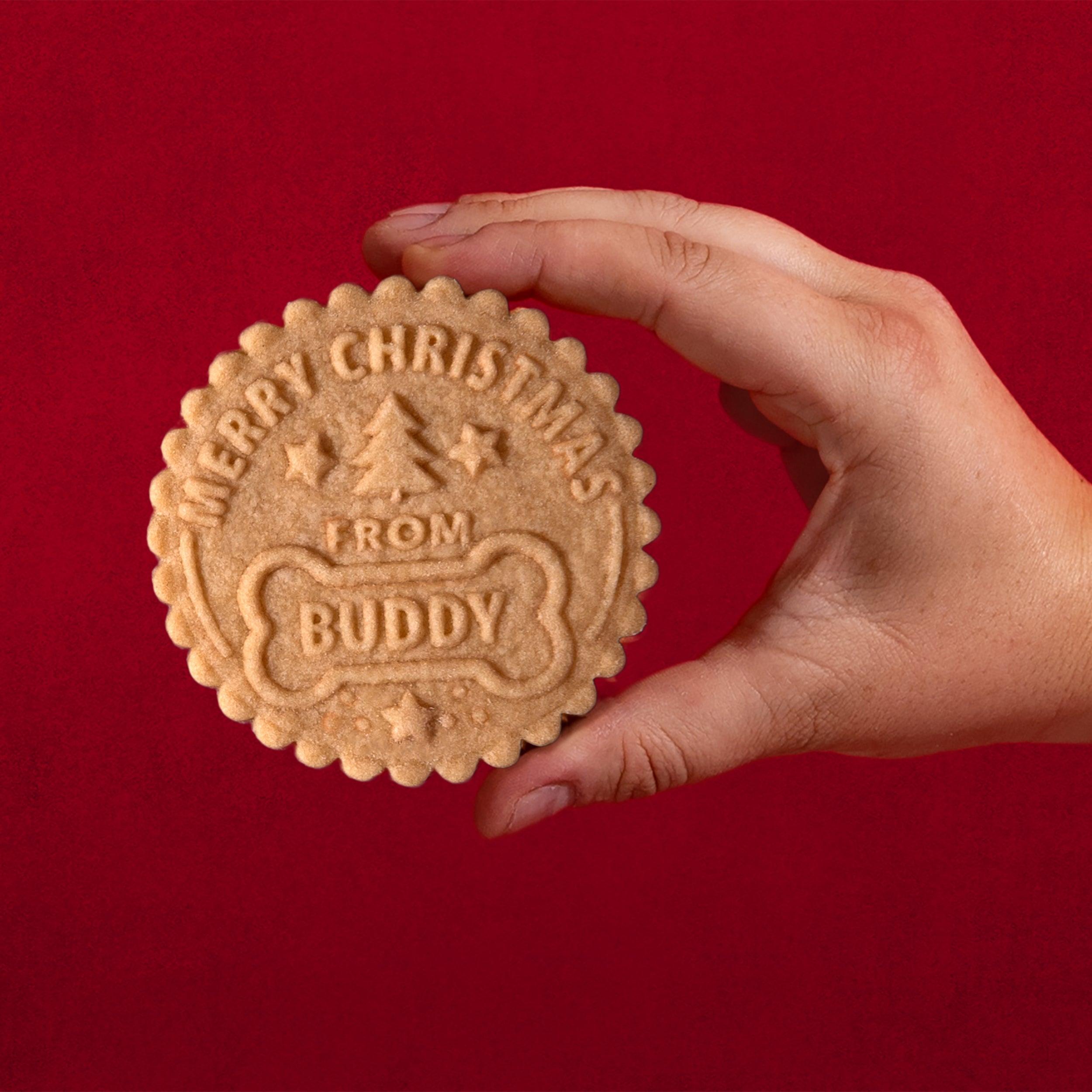 Christmas Cookie Stamp - Holly Jolly