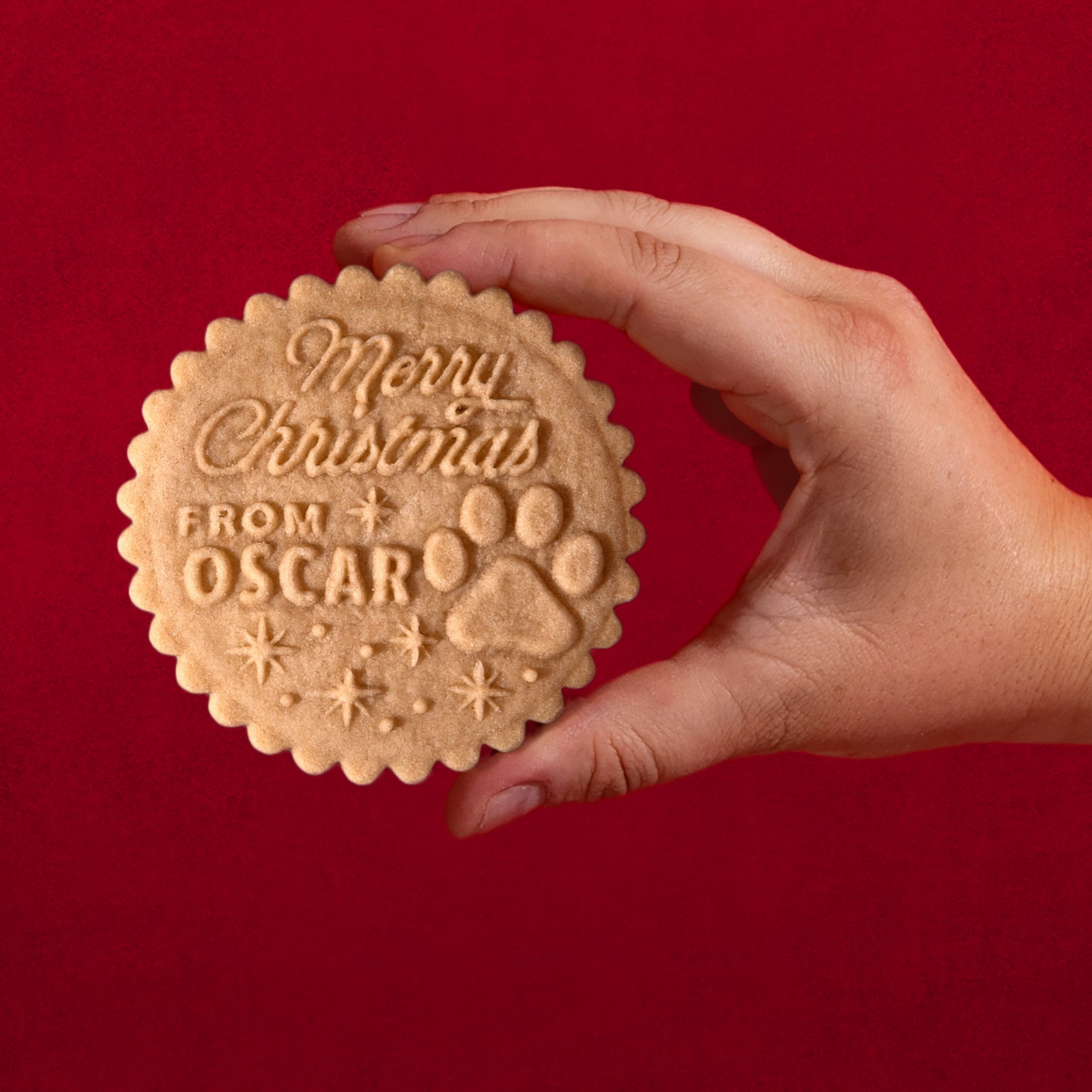 Christmas Cookie Stamp - Holly Jolly