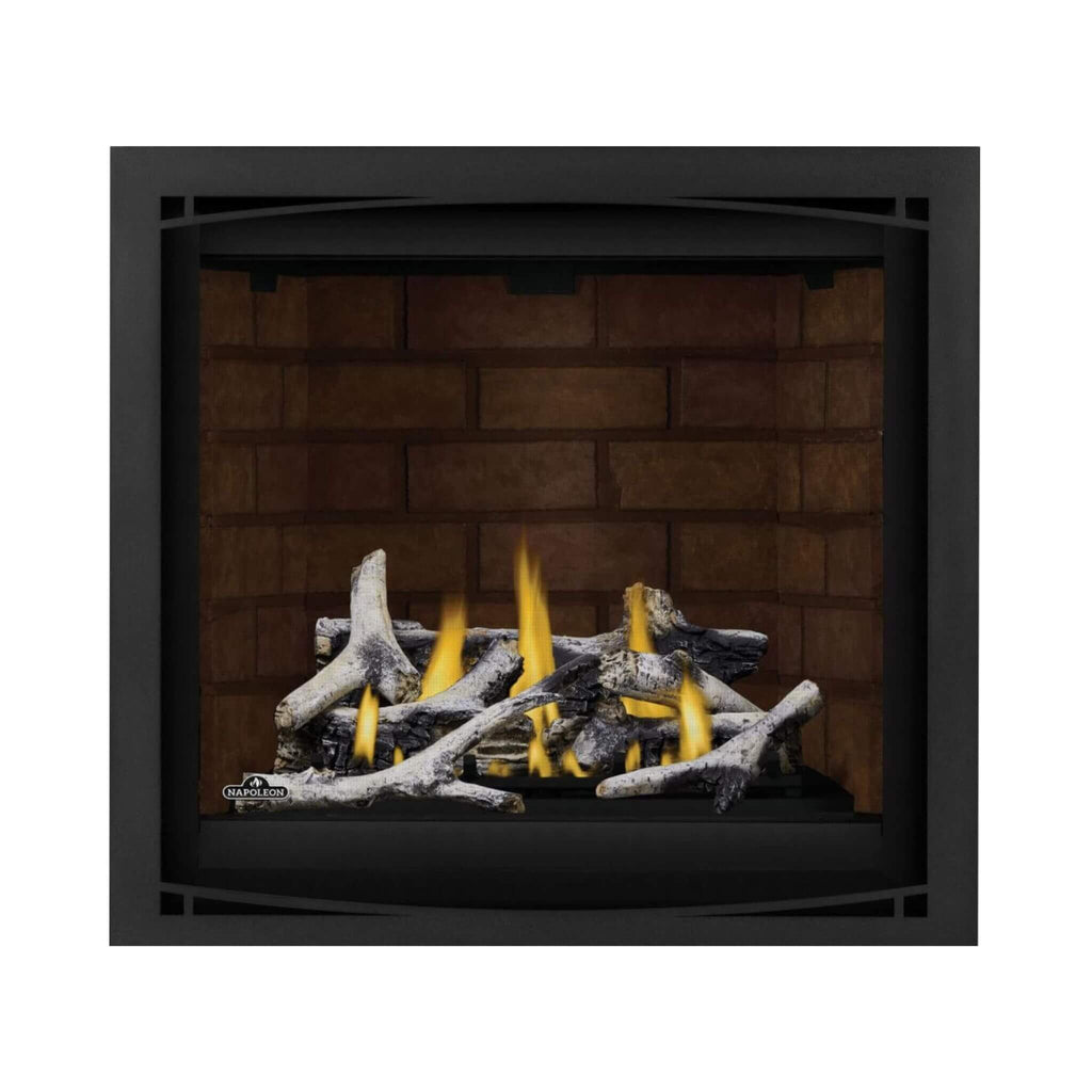 Napoleon Altitude X 36-Inch Direct Vent Natural Gas Fireplace [AX36NTE-1] (SAK61243)