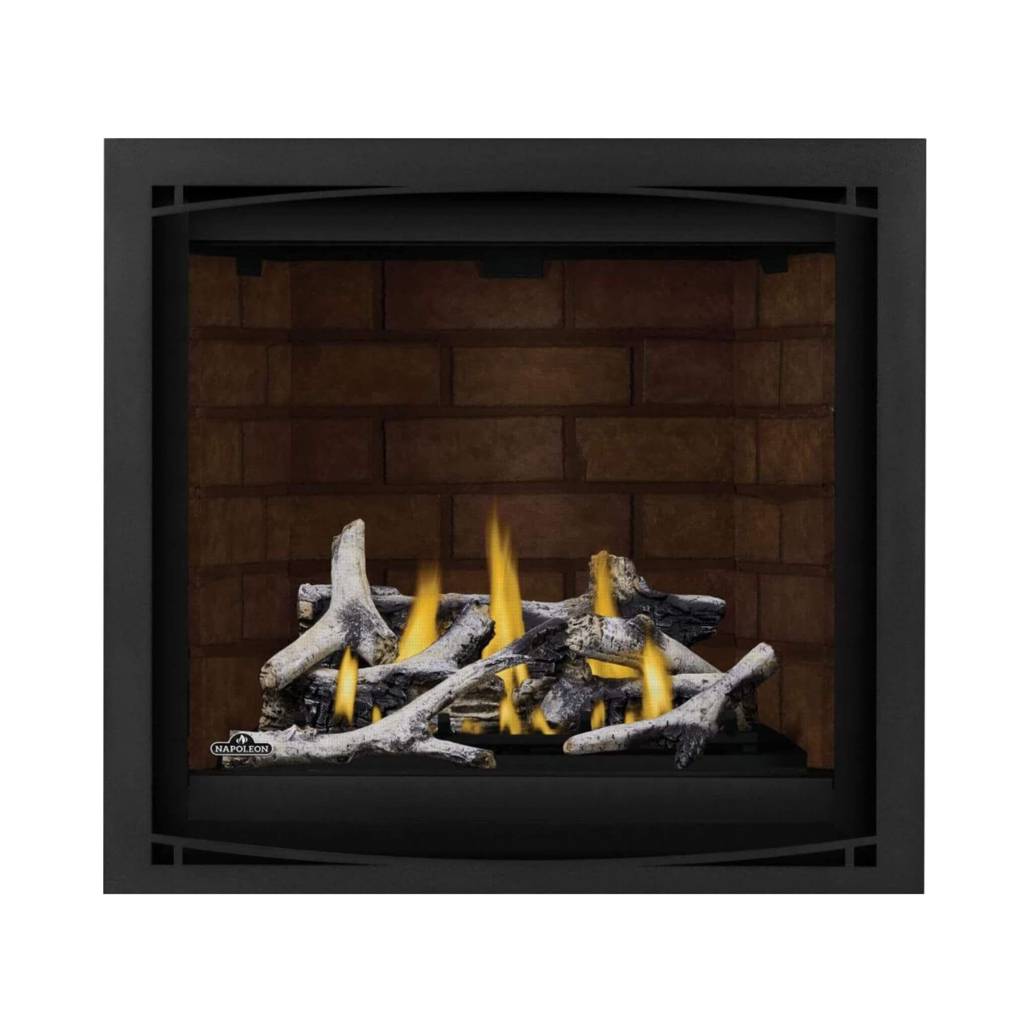 Napoleon Altitude X 36-Inch Direct Vent Natural Gas Fireplace [AX36NTE-1] (SAK61243)