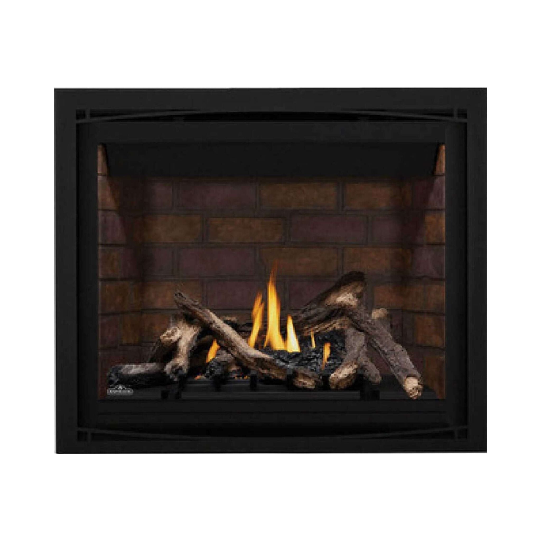 Napoleon Altitude X Direct Vent 42-Inch Propane Fireplace [AX42PTE-1] (SAK72948)