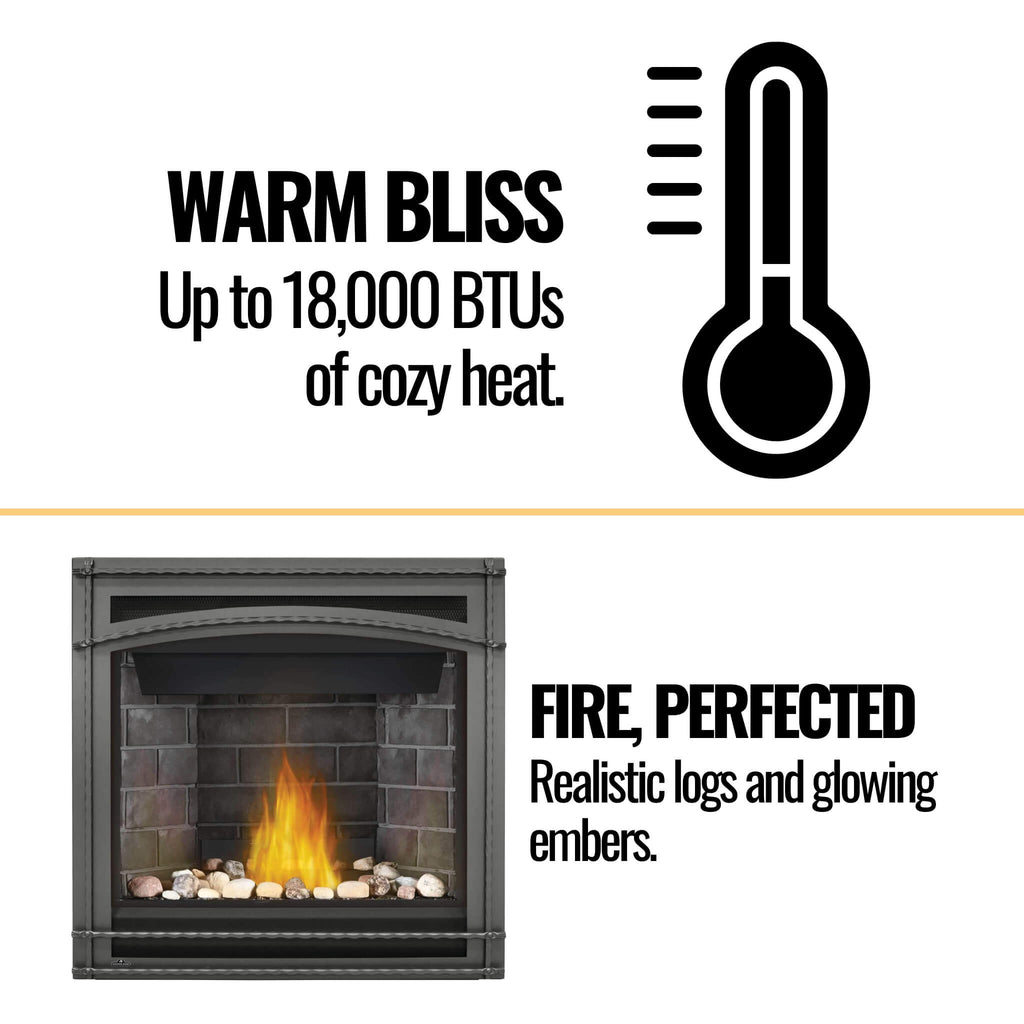 Napoleon Ascent 36 35-Inch Direct Vent Millivolt Ignition Natural Gas Fireplace [B36NTR-1] (SAK85316)