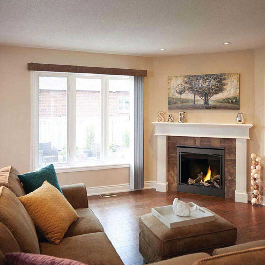 Napoleon Ascent 36 35-Inch Direct Vent Millivolt Ignition Natural Gas Fireplace [B36NTR-1] (SAK85316)