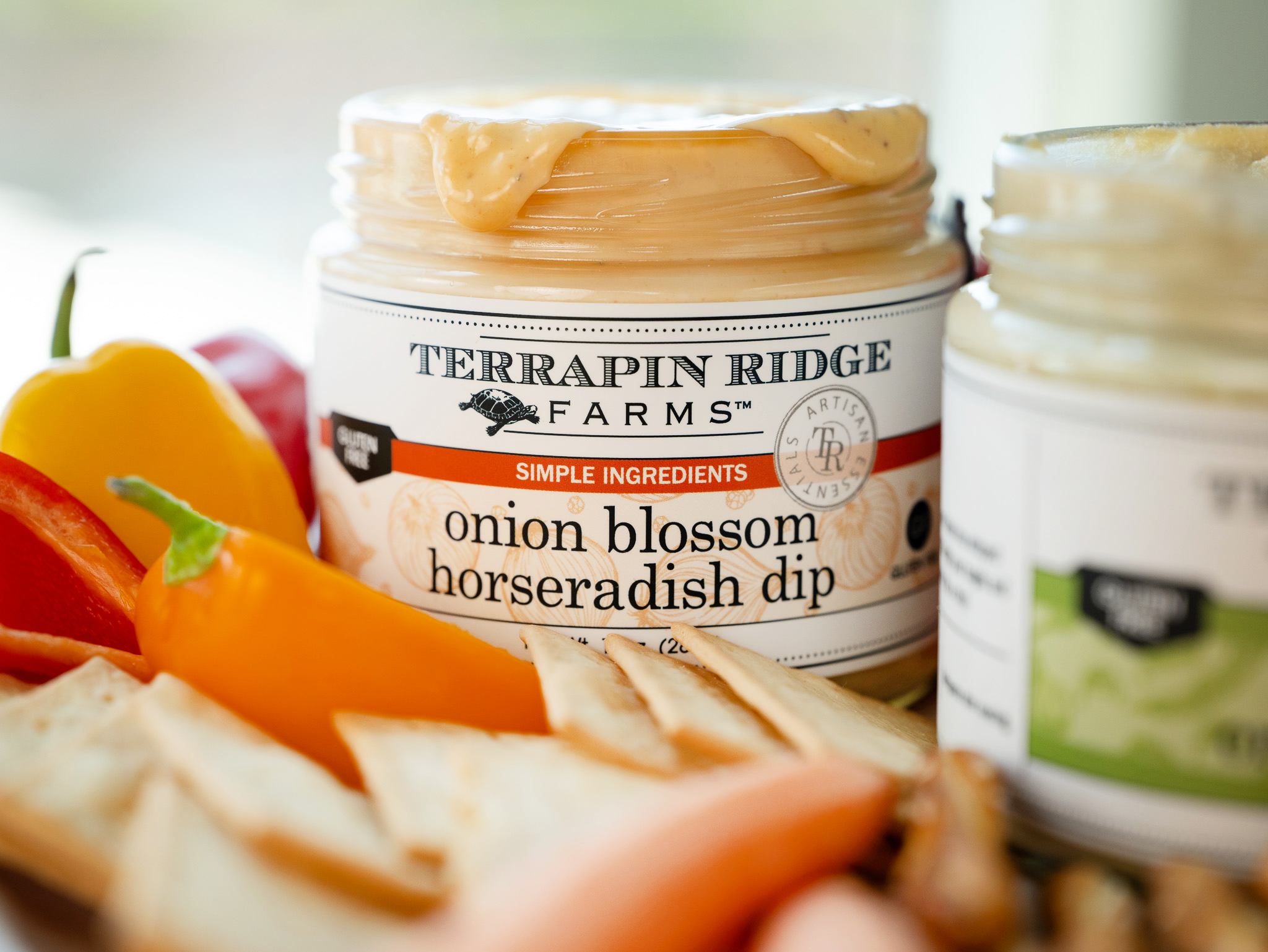 Onion Blossom Horseradish Dip