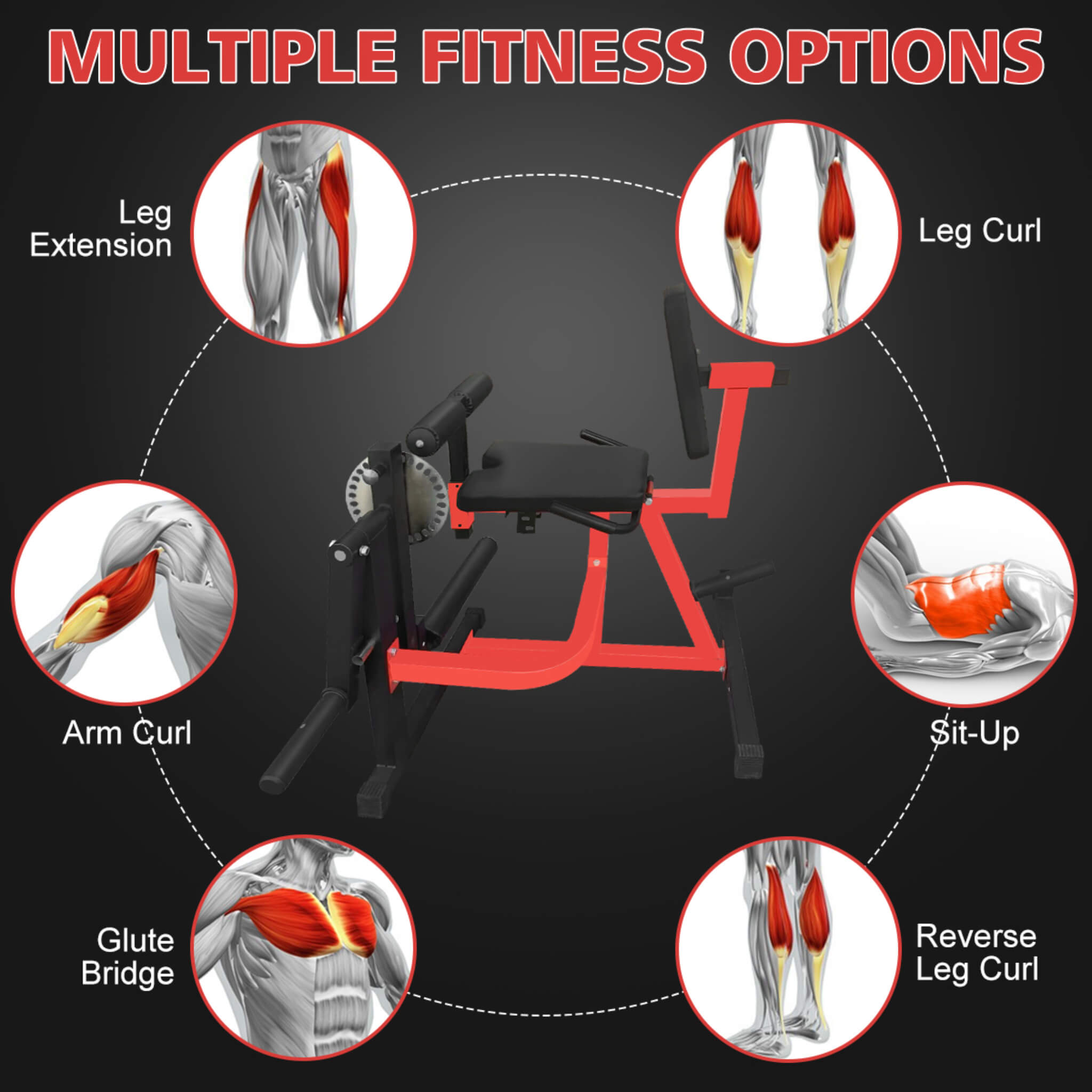 Rovix Premium 3-In-1 Multi-Functional Adjustable Leg Extension And Curl Machine For Lower Body Workouts (SAK21427)