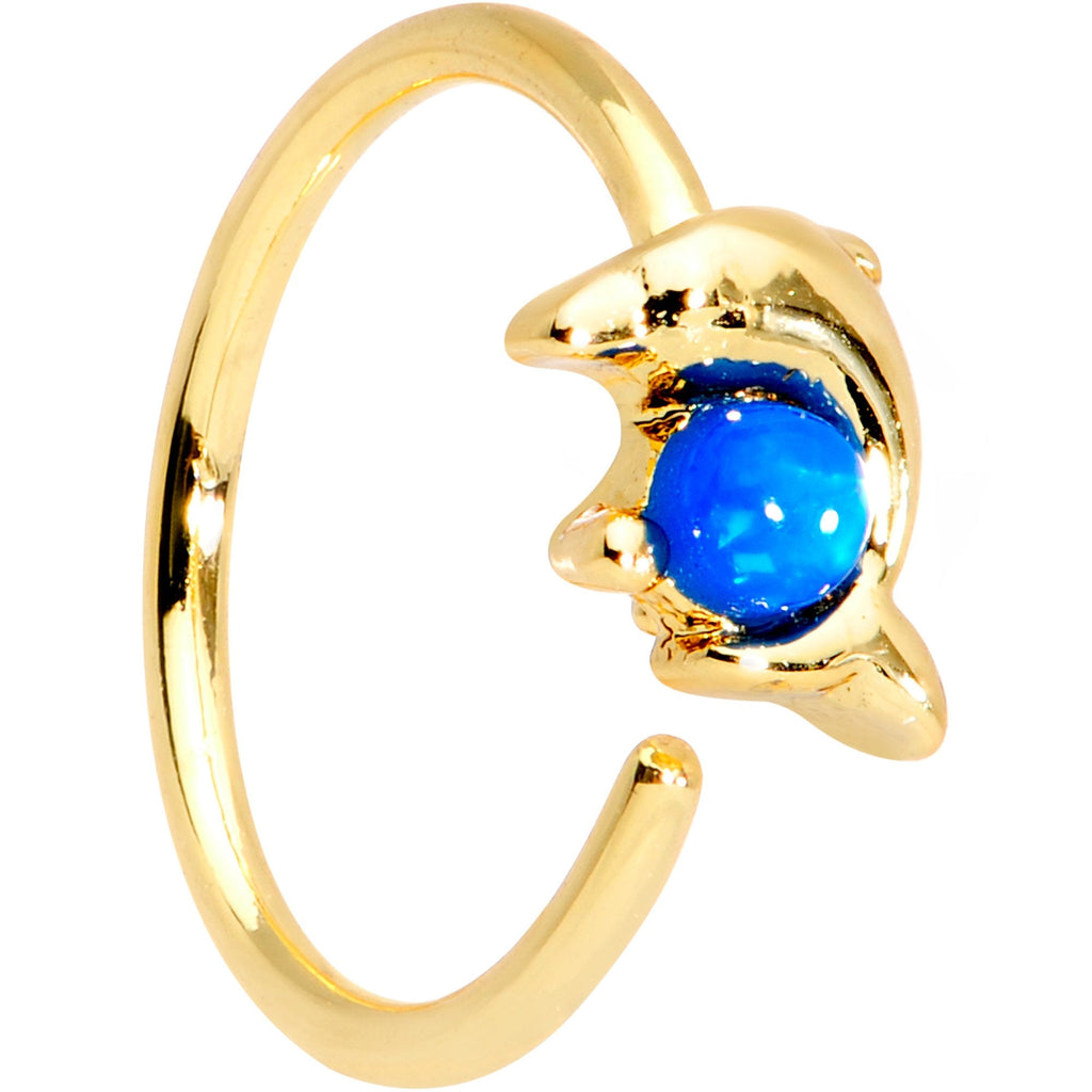 20G Blue Gem Gold Tone Anodized Dolphin Seamless Circular Ring