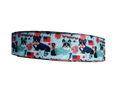 USA Pups Nylon Dog Collar