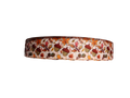 Acorn Woods Nylon Dog Collar
