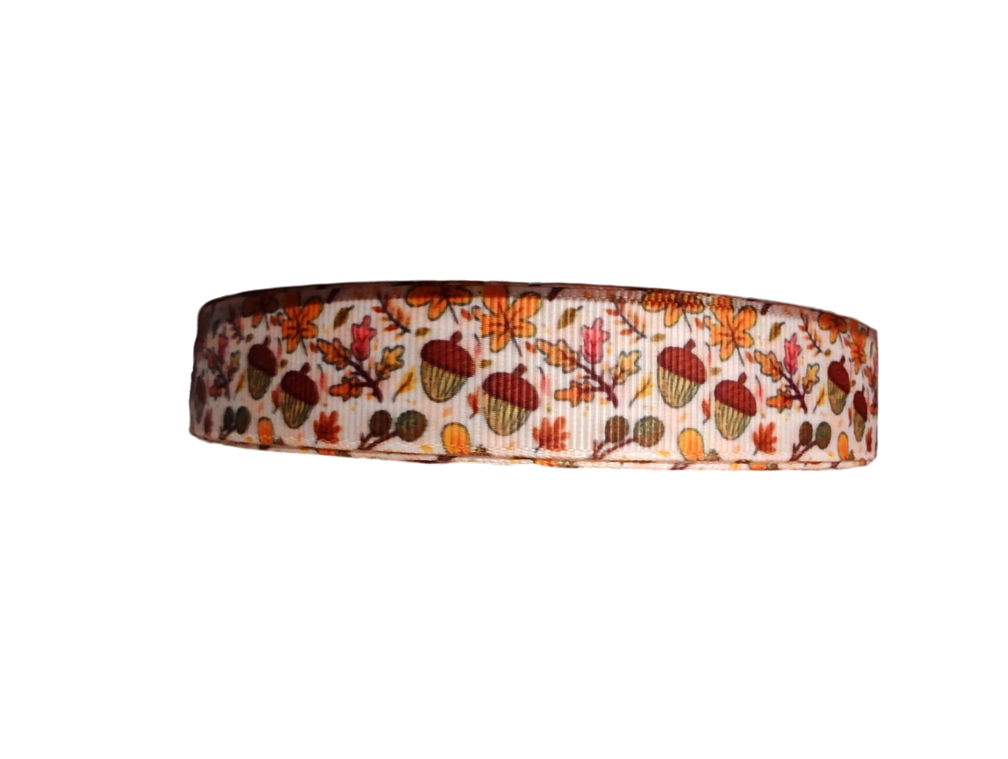 Acorn Woods Nylon Dog Collar
